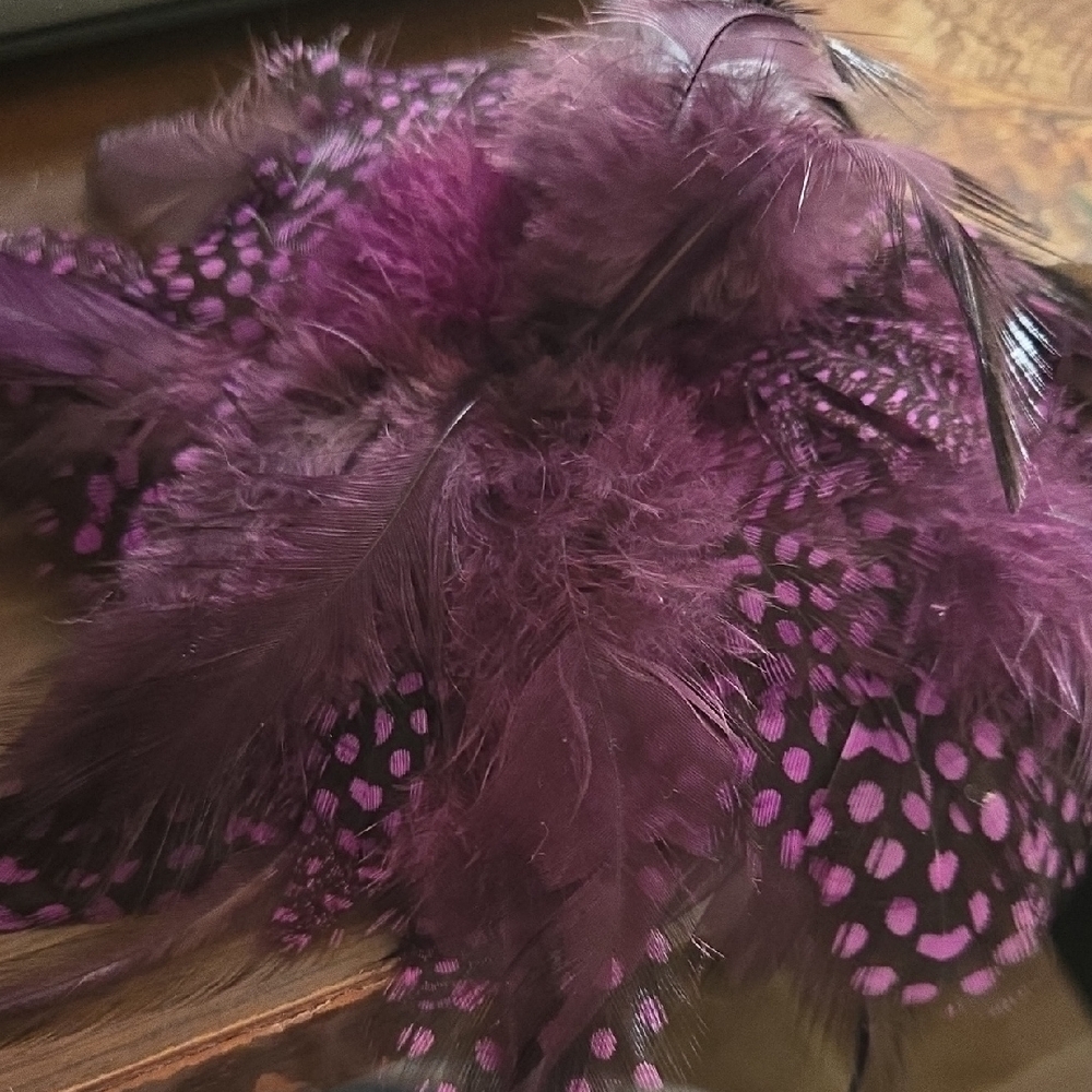 Elegant Purple Feathered Accessory